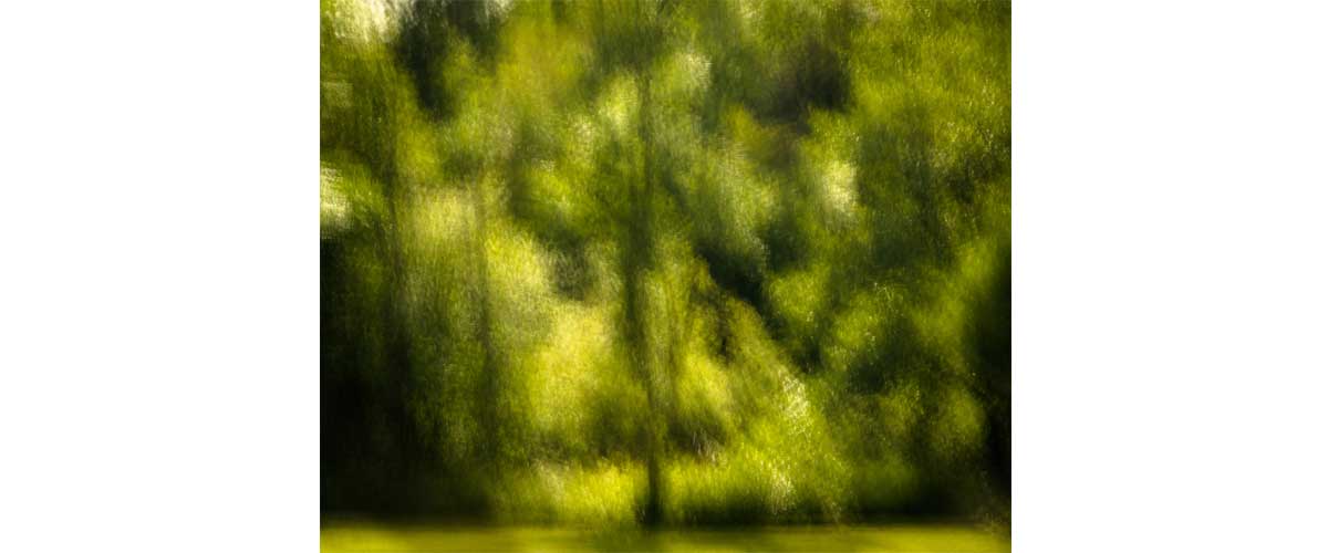 image taken by Keld Kofoed Hansen